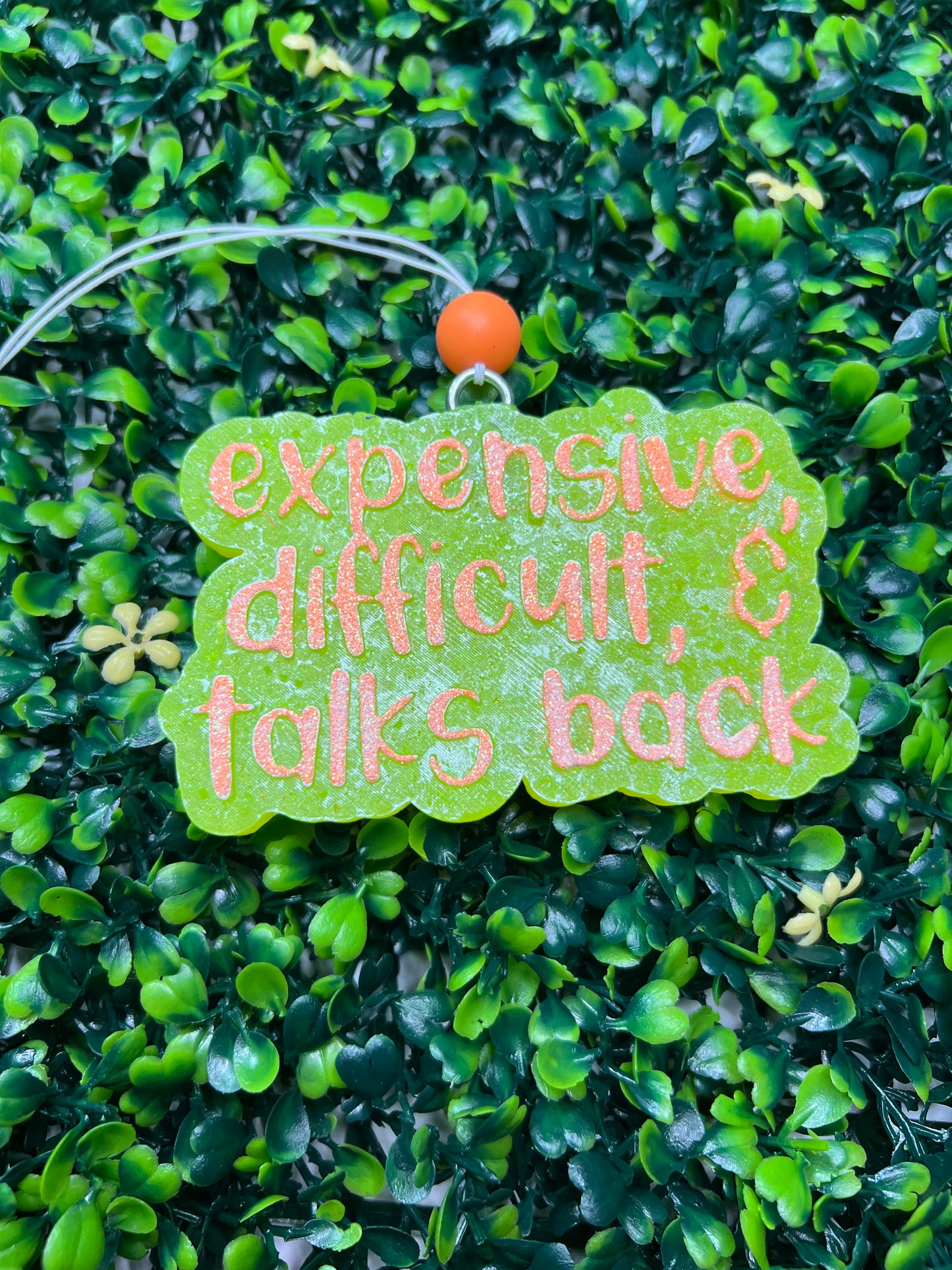 Expensive, Difficult & Talks back