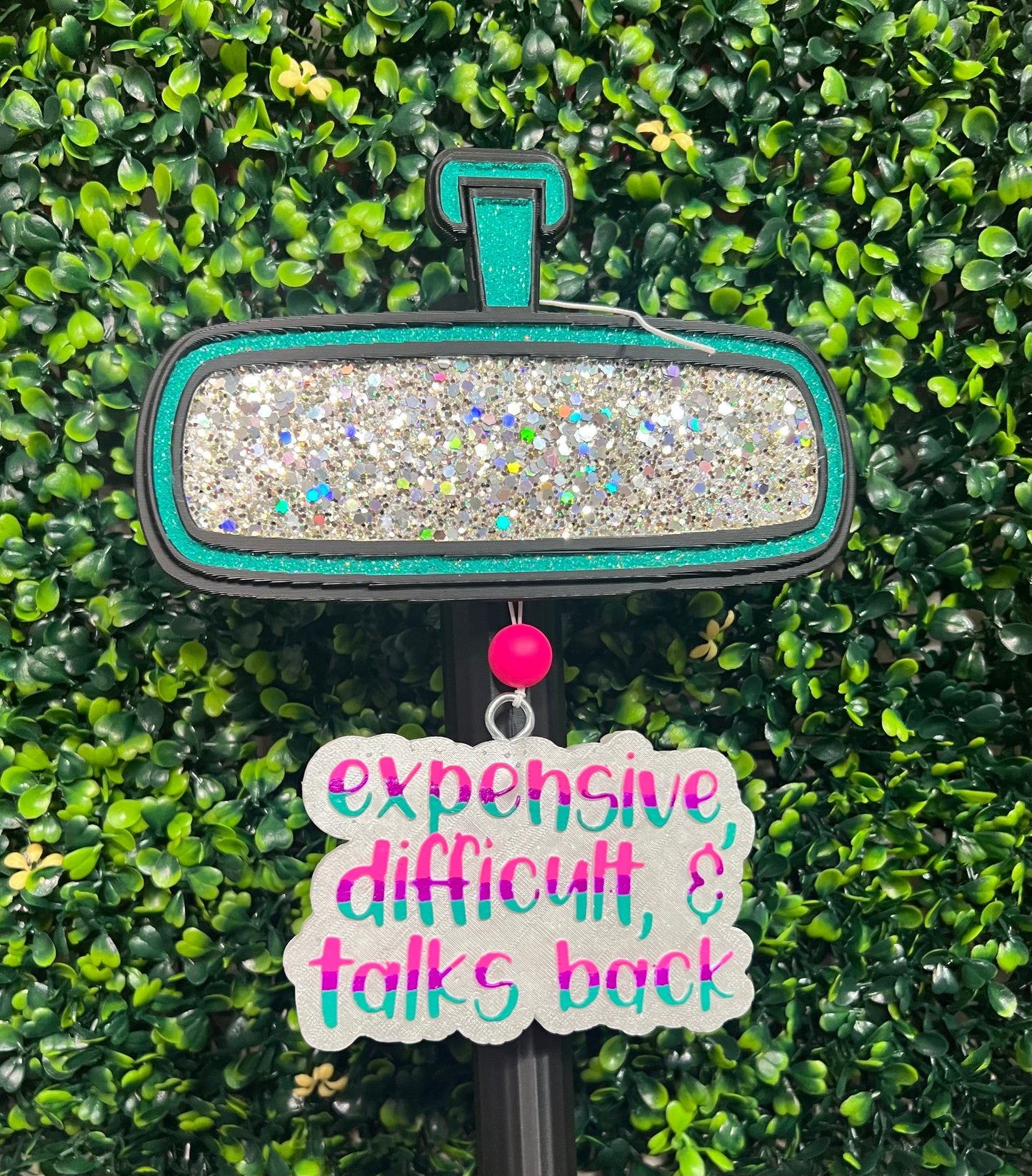 Expensive, Difficult & Talks back